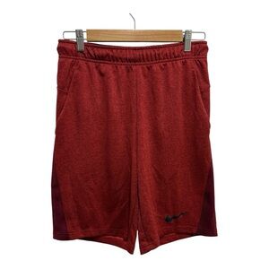 Nike Men's Deep Red Athletic Shorts